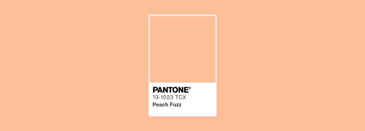 Pantone 2024 年度代表色 (1)