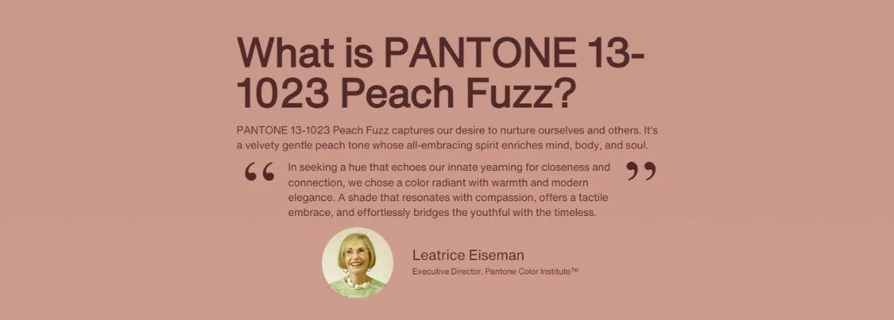 Pantone 2024 年度代表色 (2)